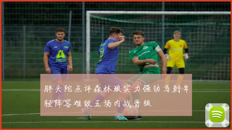 胖头陀点评森林狼实力强劲马刺年轻阵容难敌五场内战晋级